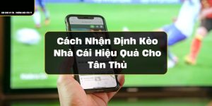 Tham Gia Nhận Định Kèo Nhà Cái 33win Ăn Đậm Như Chuyên Gia